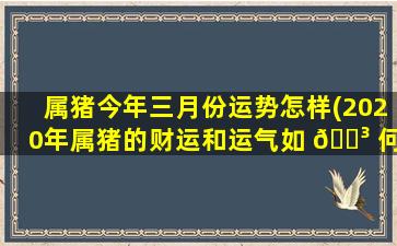 属猪今年三月份运势怎样(2020年属猪的财运和运气如 🌳 何 🦅 )